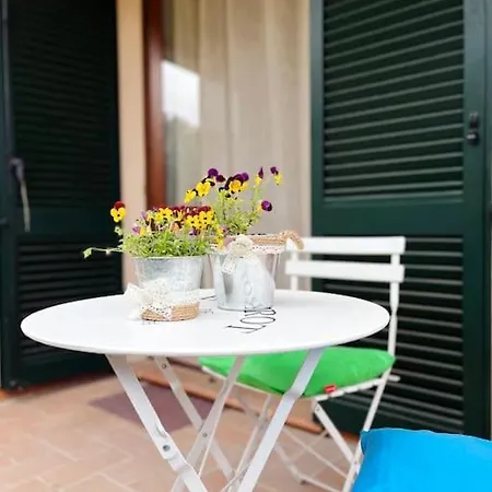 Apartment Gli Ulivi Di Mafalda - Garden * Parking * Centre *